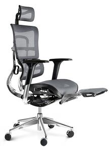 DIABLO V-MASTER ergonomikus irodai szék: fekete-szürke Diablochairs 1W-9706-5A8S