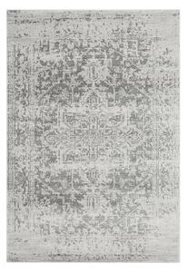 Szürke szőnyeg 160x230 cm Nova – Asiatic Carpets