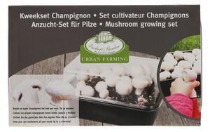 Termesztő Field Mushroom – Esschert Design