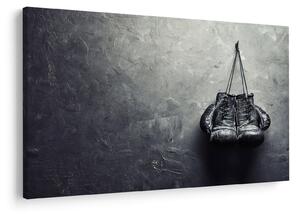 Bokszkesztyű képe (90x60 cm)