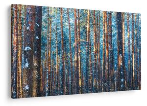 Kép - téli erdő (90x60 cm)