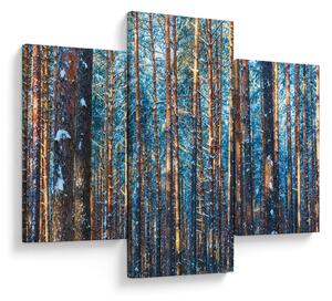 Kép - téli erdő (90x60 cm)