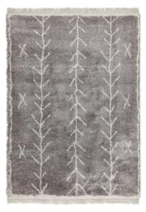 Szürke szőnyeg 160x230 cm Rocco – Asiatic Carpets