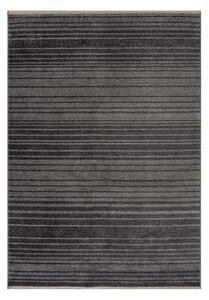 Sötétszürke szőnyeg 160x230 cm Camino – Flair Rugs