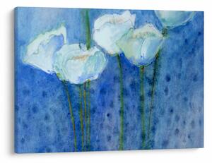 Kép - fehér tulipán (70x50 cm)