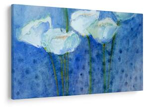 Kép - fehér tulipán (90x60 cm)