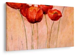 Kép - piros tulipán (90x60 cm)