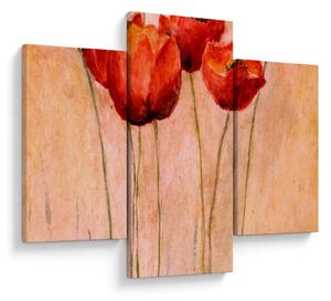 Kép - piros tulipán (90x60 cm)