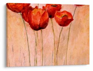 Kép - piros tulipán (70x50 cm)