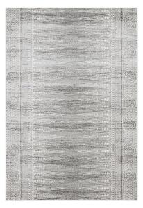 Szürke szőnyeg 160x230 cm Nova – Asiatic Carpets