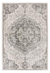 Szürke-krémszínű szőnyeg 120x170 cm Nova – Asiatic Carpets