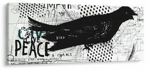 Kép - Street art - madár (120x50 cm)