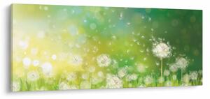 Kép - Virágozatlan pitypang (120x50 cm)