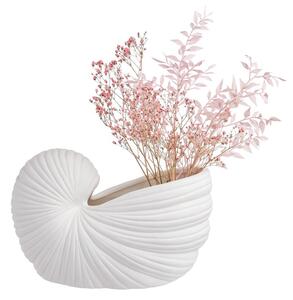 SCALLOP kagyló formájú dekoráció /váza 16cm