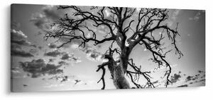 Kép - fekete fehér fa (120x50 cm)