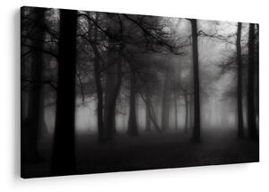 Kép - erdő a ködben (90x60 cm)