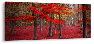Kép - vörös erdő (120x50 cm)