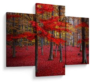 Kép - vörös erdő (90x60 cm)