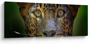 Kép - Leopárd portré, Sri Lanka (órával) (90x30 cm)