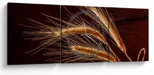 Kép - Rozsfül részlete (órával) (90x30 cm)