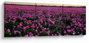 Kép - lila tulipánok rétje (órával) (90x30 cm)