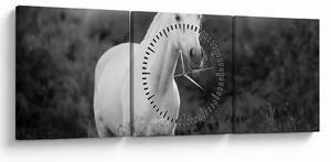 Egy fehér ló képe egy réten, fekete-fehér (órával) (90x30 cm)