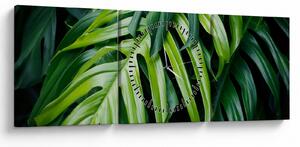 Kép - trópusi levelek (órával) (90x30 cm)