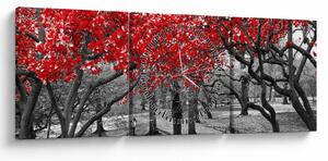 Kép - vörös fák,Central Park, New York (órával) (90x30 cm)