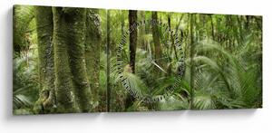 Trópusi esőerdő kép (órával) (90x30 cm)