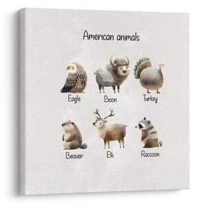 Kép amerikai állatok illusztrációja