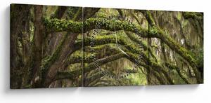 Kép - Oaks Avenue, Charleston, Dél-Karolina, Egyesült Államok (órával) (90x30 cm)