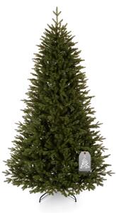 Karácsonyfa Kanadai lucfenyő 180 cm