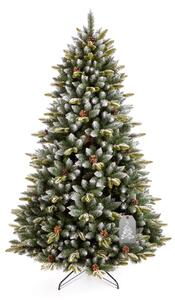 Karácsonyfa Pireneusi lucfenyő 180 cm