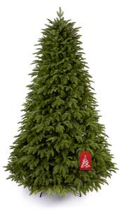Karácsonyfa Nordmann jegenyefenyő 180 cm