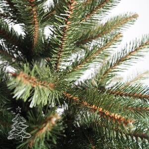 Karácsonyfa Kaukázusi lucfenyő 2D 120 cm