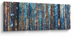 Kép - téli erdő (órával) (90x30 cm)