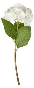 FLORISTA hortenzia, fehér 62 cm