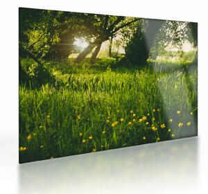 Tájkép - rét (üvegen) (70x50 cm)