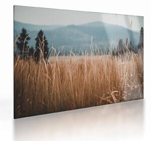 Kép - réti növényzet részlete (üvegen) (70x50 cm)