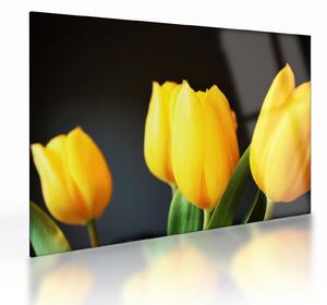 Tulipán képe (üvegen) (70x50 cm)