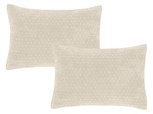 Bársony párnahuzat szett 2 db-os 50x75 cm Attica Velvet Embroidered – Bianca