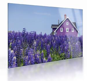 Levandula mező képe (üvegen) (70x50 cm)