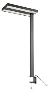 Spotlámpa Arcchio, Logan, dimmable, Fekete, Dolgozószoba / iroda, Alumínium, Modern