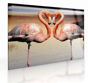 Kép - két flamingó (üvegen) (70x50 cm)