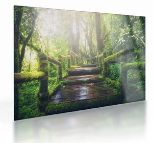 Kép - falépcsők az erdőben (üvegen) (70x50 cm)