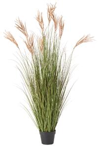 Műnövény CLAW FLOWER 150 cm Zöld