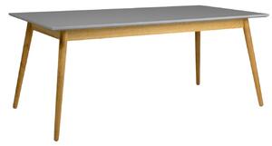 Matt szürke lakkozott étkezőasztal Tenzo Pont 180 x 90 cm
