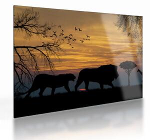 Safari képe (üvegen) (70x50 cm)