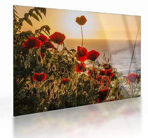 Naplemente és a pipacsok képe (üvegen) (70x50 cm)