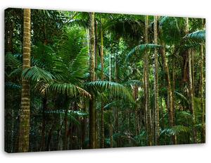 Gario Vászonkép Zöld pálmák Méret: 60 x 40 cm